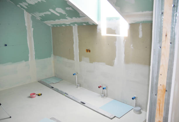 Best Attic Mold Removal  in Jackson, MN