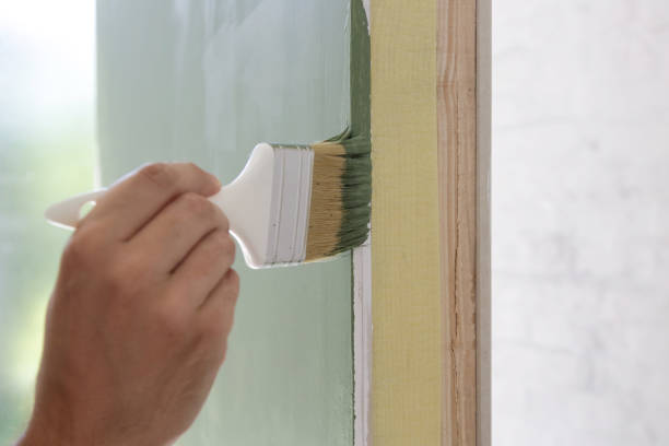 Best Basement Mold Removal  in Jackson, MN