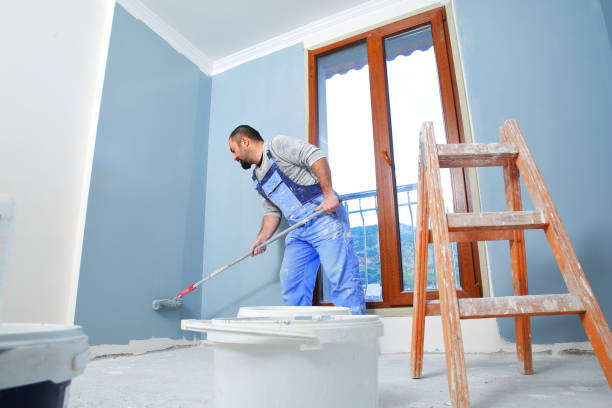 Best Biohazard Mold Removal  in Jackson, MN