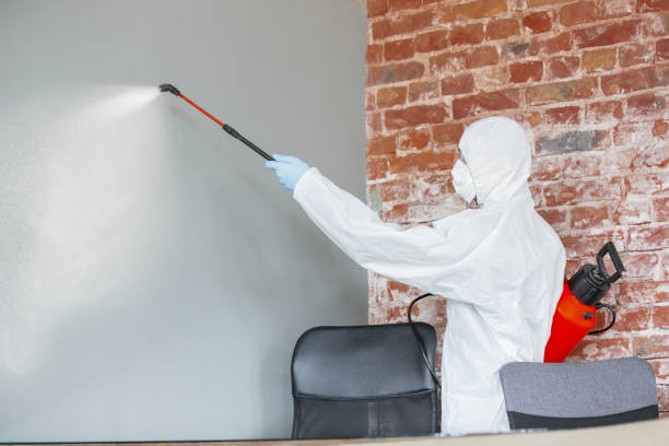 Asbestos and Lead Testing During Mold Inspection in Jackson, MN