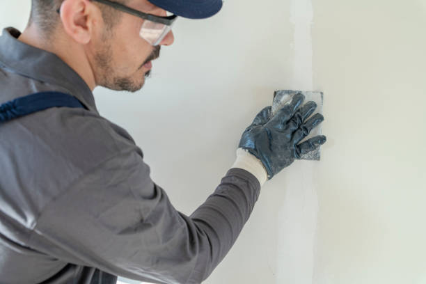 Trusted Jackson, MN Mold Removal Experts