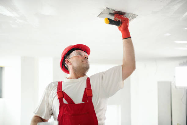  Jackson, MN Mold Removal Pros