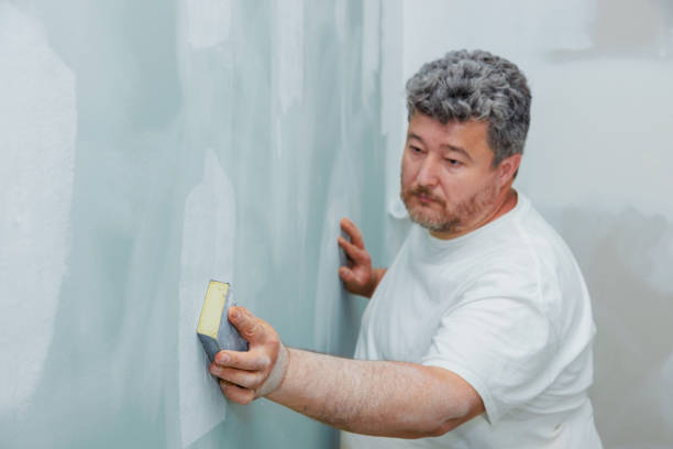Best Commercial Mold Inspection  in Jackson, MN