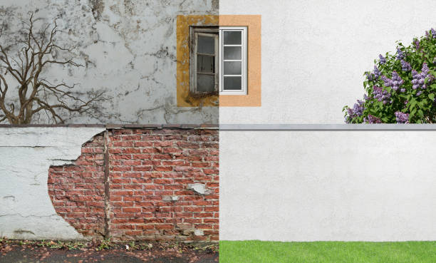 Best Mold Remediation for Rental Properties  in Jackson, MN