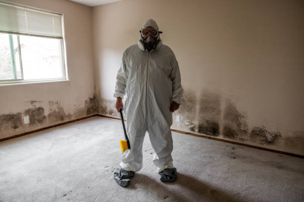 Best Emergency Mold Remediation  in Jackson, MN